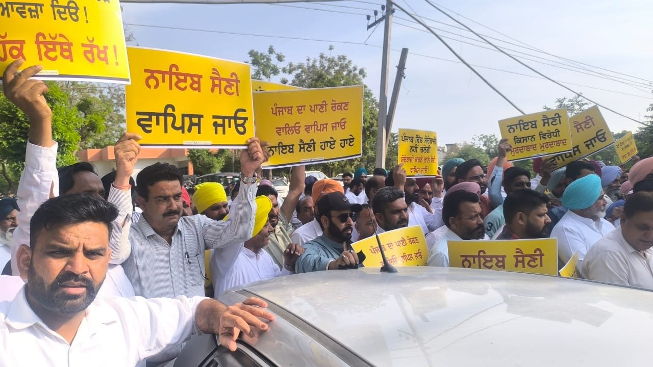 समाना में सैनी को दिखाए गए काले झंडे, आप ने ‘गो बैक’ के नारों के साथ किया ज़ोरदार प्रदर्शन